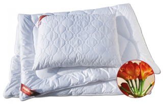 Polštář Dřevočal Clivie