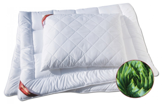 Polštář Dřevočal Aloe Vera